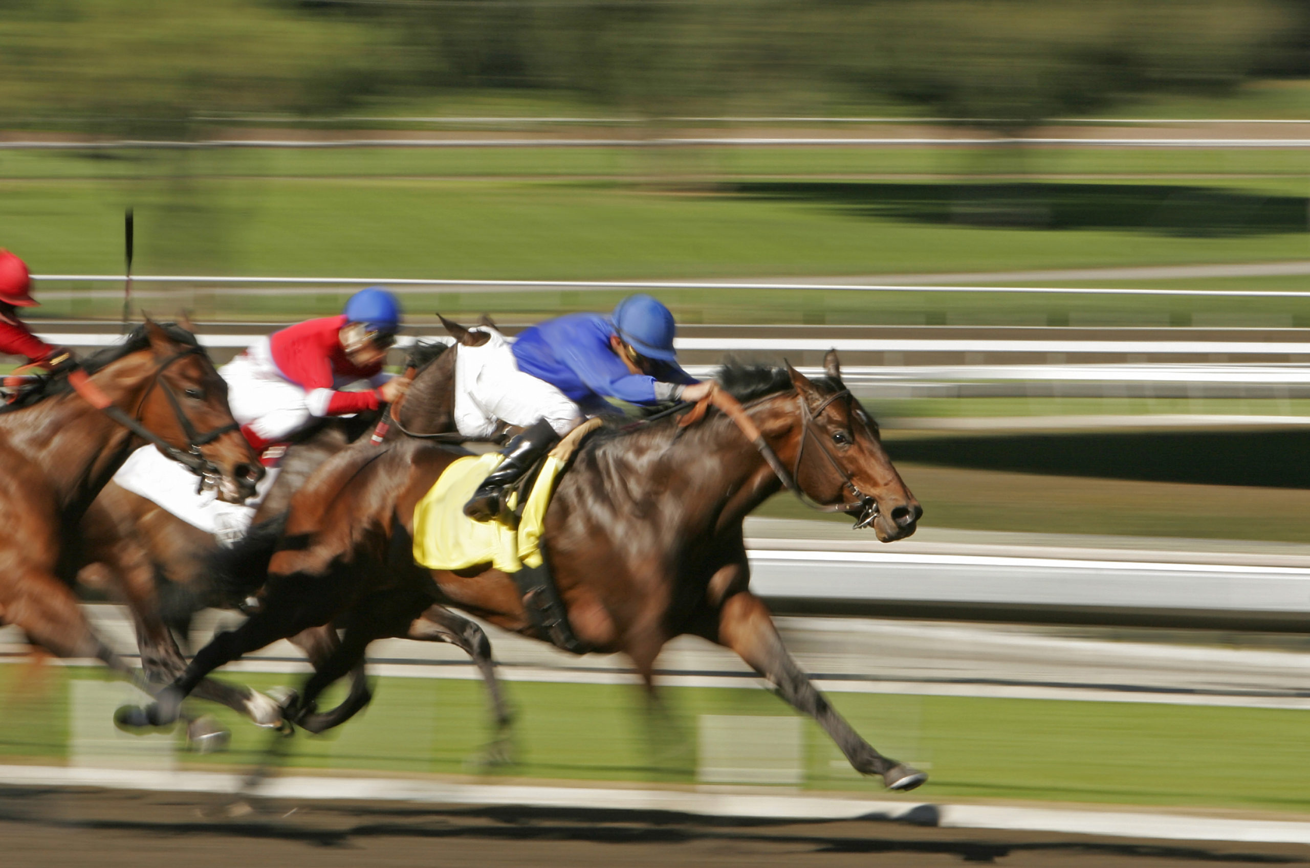 Strangles confirmed in Kentucky racehorses